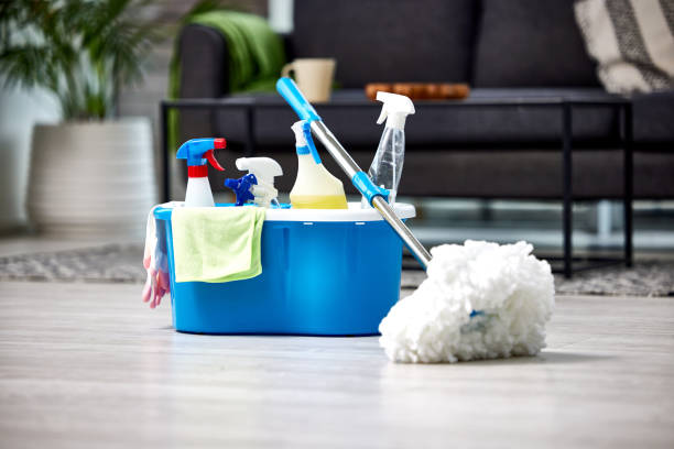 Professional Home & Office Cleaning