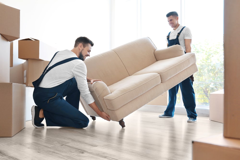 Professional Home & Office Movers